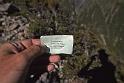 Traveling ID Card 015 New Zealand Avalanche Peak